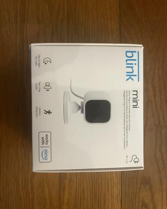 Blink mini
