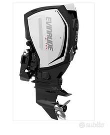 evinrude 300 g2