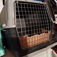 box da trasporto per cani di taglia media 