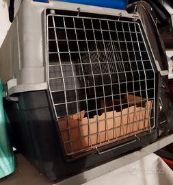 box da trasporto per cani di taglia media 
