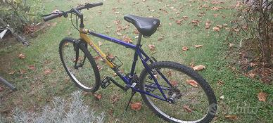 mountain bike da uomo