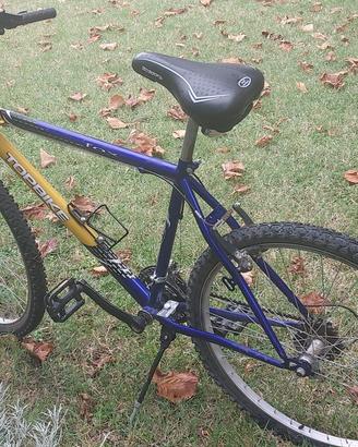 mountain bike da uomo