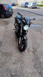 Hornet 600