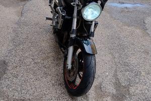 Hornet 600