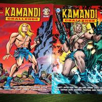 Kamandi Challenge 1/2 RW Lion