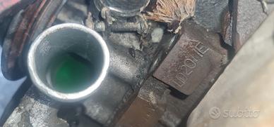 Motore Ld20iie 2.0 nussa trade