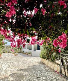 Villetta Paola a Favignana