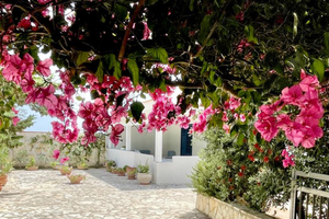 Villetta Paola a Favignana