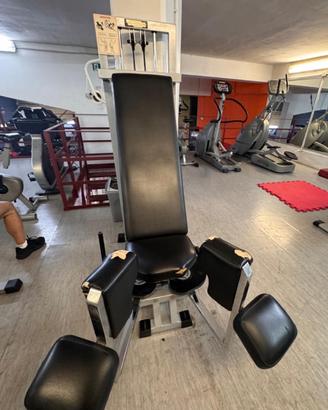 Adductor tecnogym