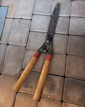 Forbice per potatura
