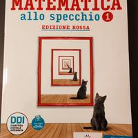 libro matematica allo specchio 1 edizione rossa