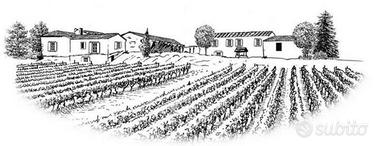 Azienda agricola agrituristica vitivinicola