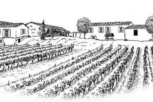 Azienda agricola agrituristica vitivinicola