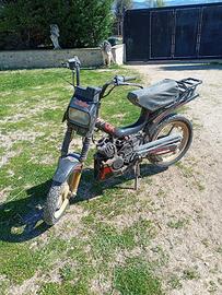 Malaguti fifty CX
