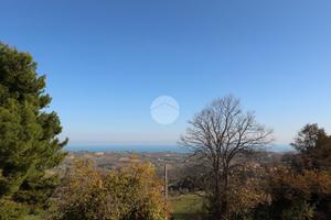 5 LOCALI A CITTÀ SANT'ANGELO