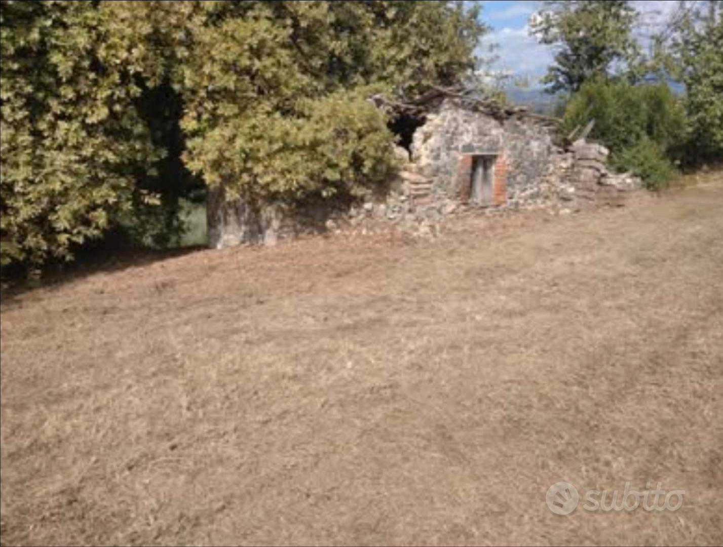 Terreno edificabile con uliveto - Ansicht 3