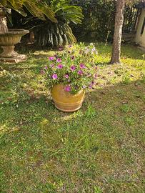 orci da giardino in cotto
