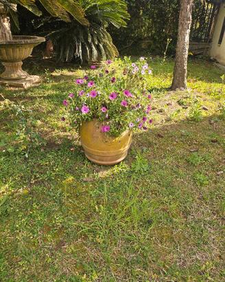orci da giardino in cotto