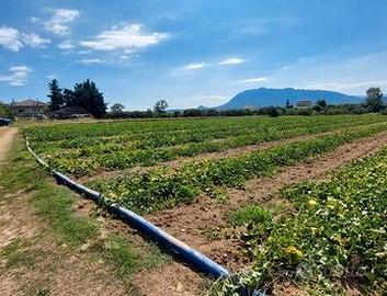 Terreno agricolo sulla SS 18 santa cecilia di Ebol