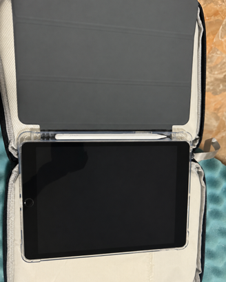 iPad 11