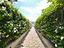 Immagine 27
