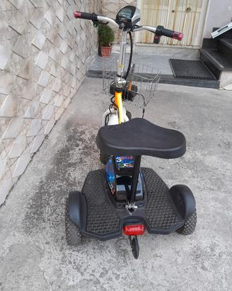 triciclo elettrico con batterie nuove 