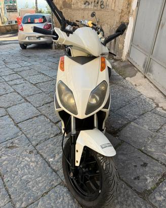 Sportcity 50