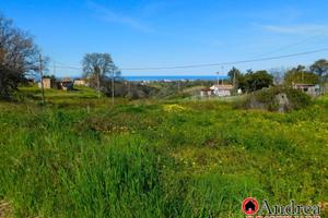 Terreno santa maria del cedro edificabile