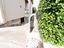 Immagine 27