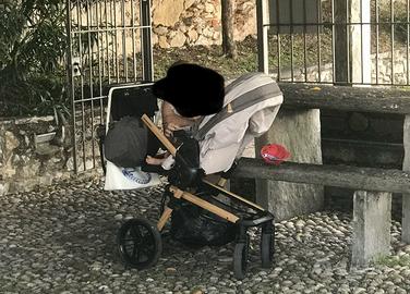 Passeggino trio foppapedretti trendy iwood