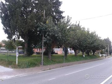 Terreno edificabile adiacenze Città Fiera