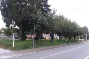 Terreno edificabile adiacenze Città Fiera