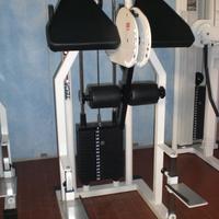 Gluteus R.O.M. e Pressa Teca 45