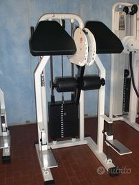 Gluteus R.O.M. e Pressa Teca 45