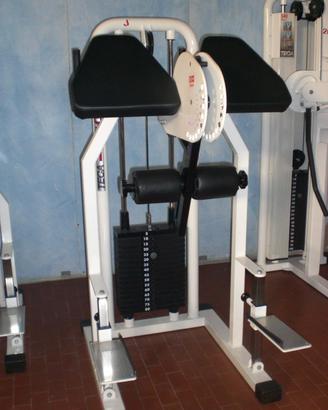 Gluteus R.O.M. e Pressa Teca 45