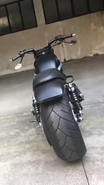 Harley Davidson Vrscr Street Rod
