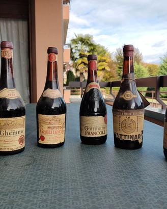 Vini da collezione 