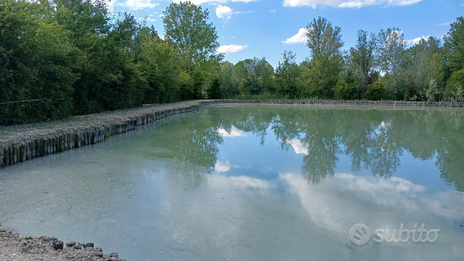 Terreno con lago - Vista 2
