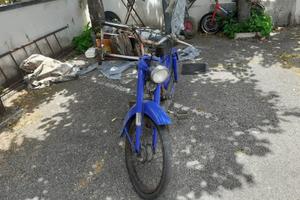 Benelli Altro modello - 1959