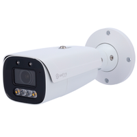 Telecamera bullet AI professionale (sorveglianaza)