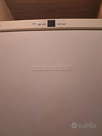 set Liebherr Frigo e Congelatore