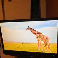 Tv lg