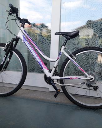 bicicletta Gastaldi Shimano ( da montagna)