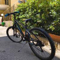 Bicicletta LOMBARDO 24''