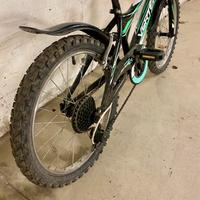 Bici bambino 20 pollici