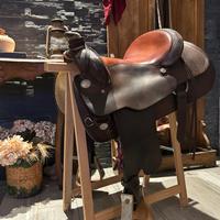 Sella Circle Y pezzo unico