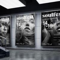 Graphic Designer Freelance