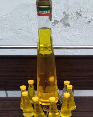 Vecchia bottiglia di liquore