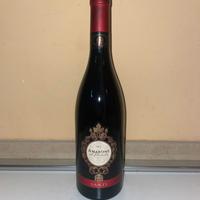 AMARONE DELLA VALPOLICELLA SANTI 2005