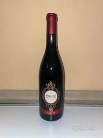 AMARONE DELLA VALPOLICELLA SANTI 2005